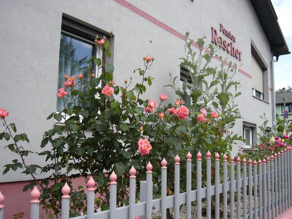 Pension Sonnenschein Sankt Kanzian am Klopeiner See Exteriér fotografie